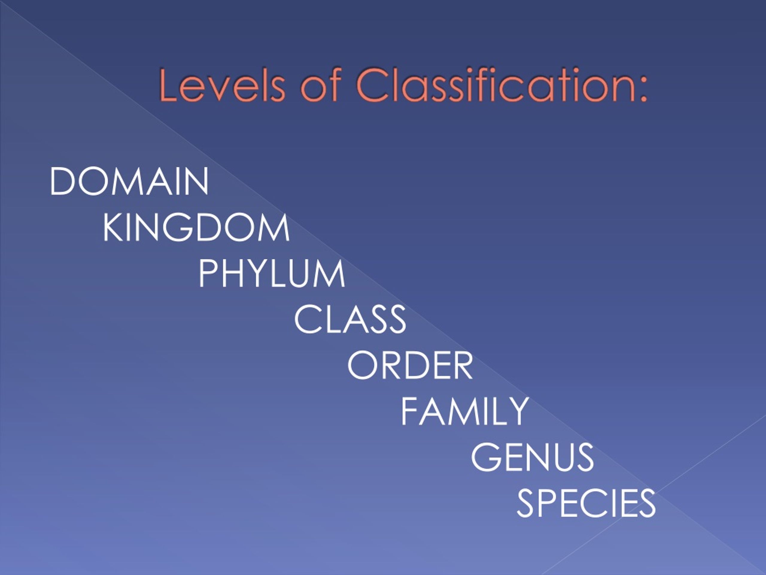 PPT Scientific Classification PowerPoint Presentation, free download