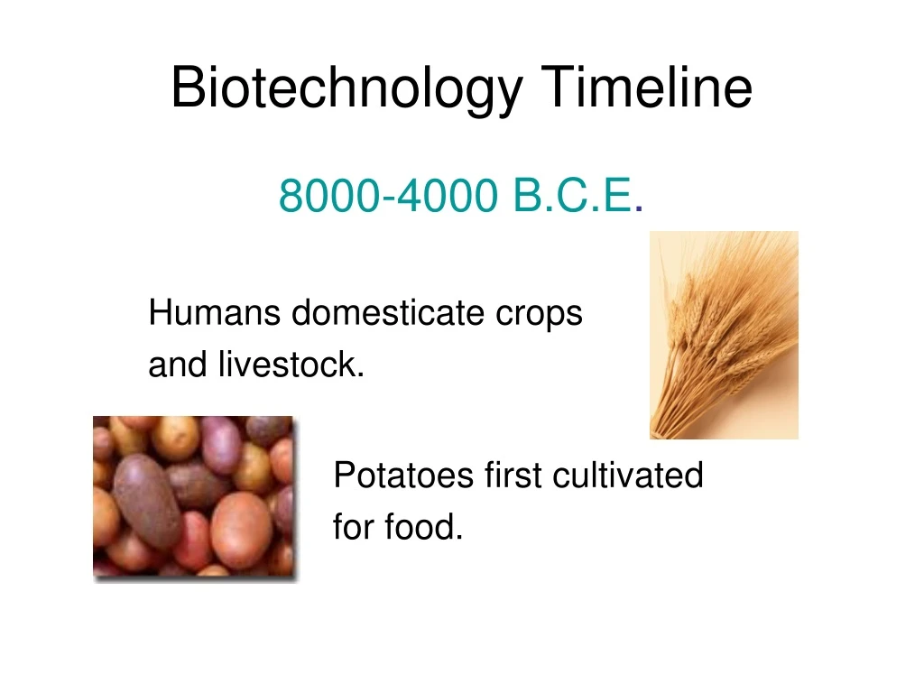PPT Biotechnology Timeline PowerPoint Presentation, free download