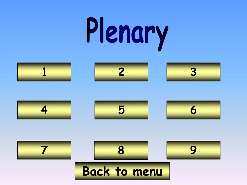 plenary n.