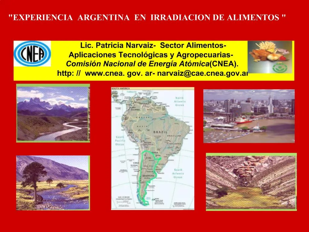 PPT - Lic. Patricia Narvaiz- Sector Alimentos- Aplicaciones Tecnol ...