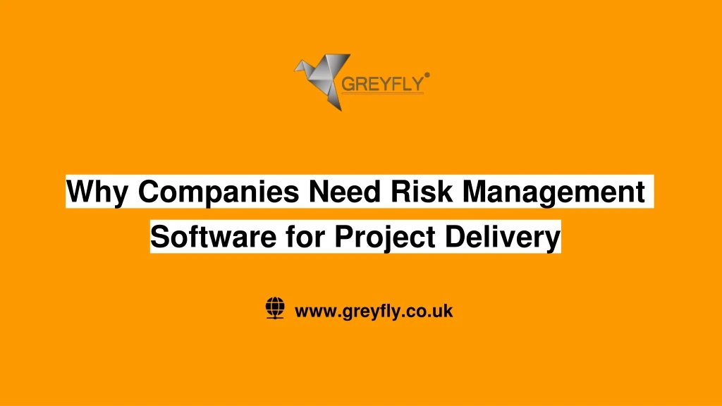 why companies need risk management software n.