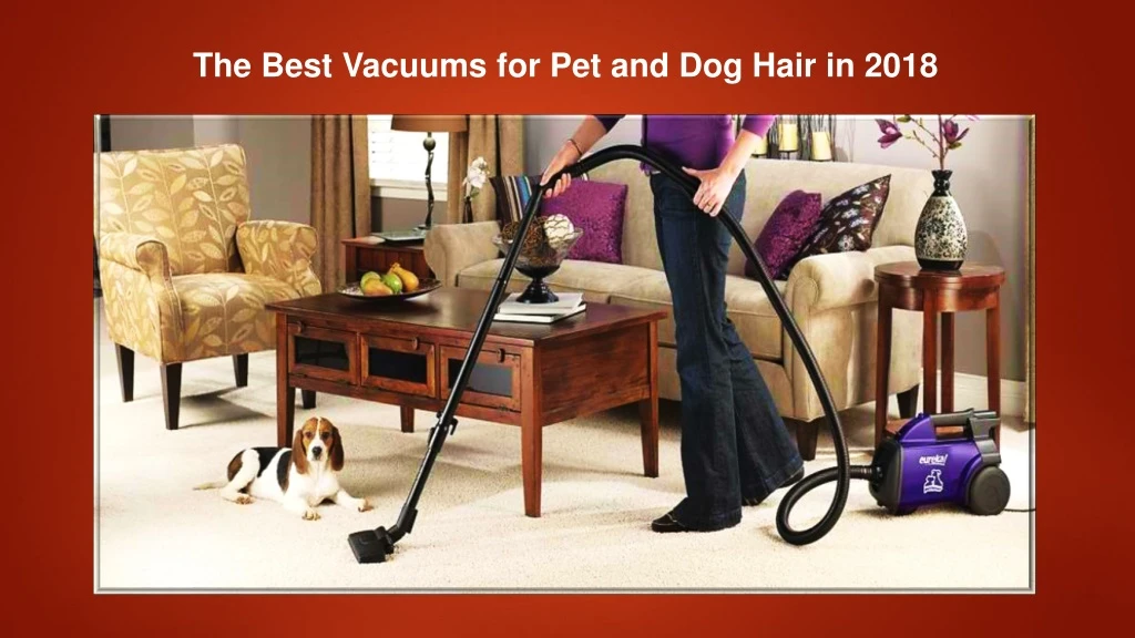 the best vacuums for pet and dog hair in 2018 n.