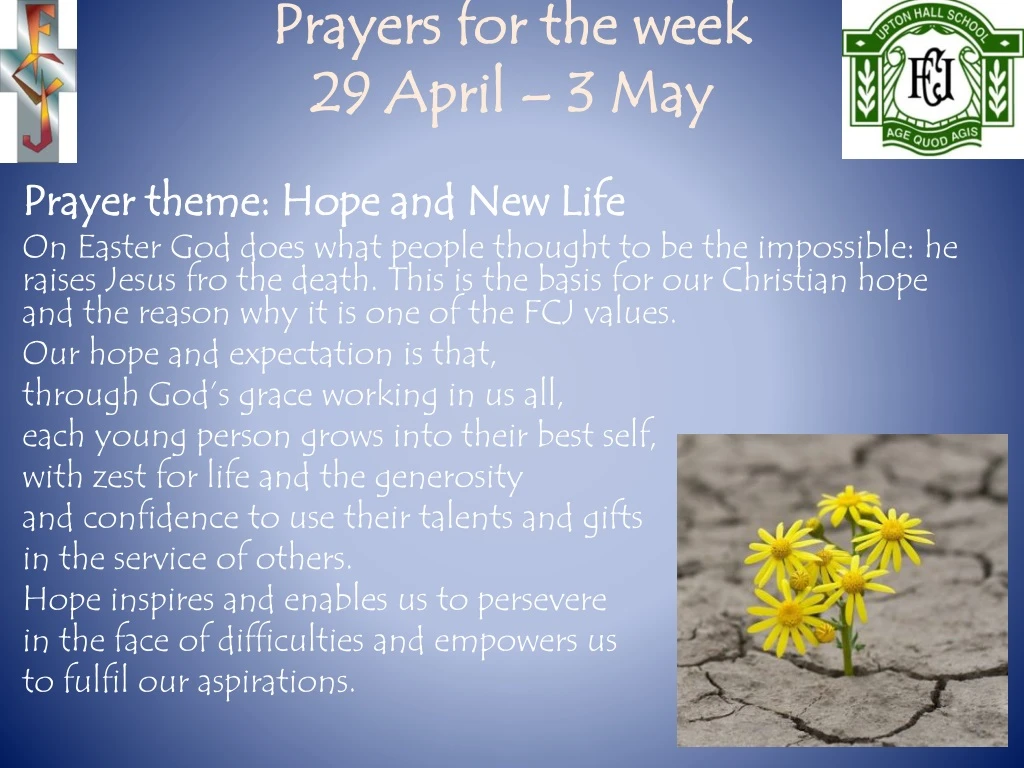 prayers for the week 29 april 3 may n.