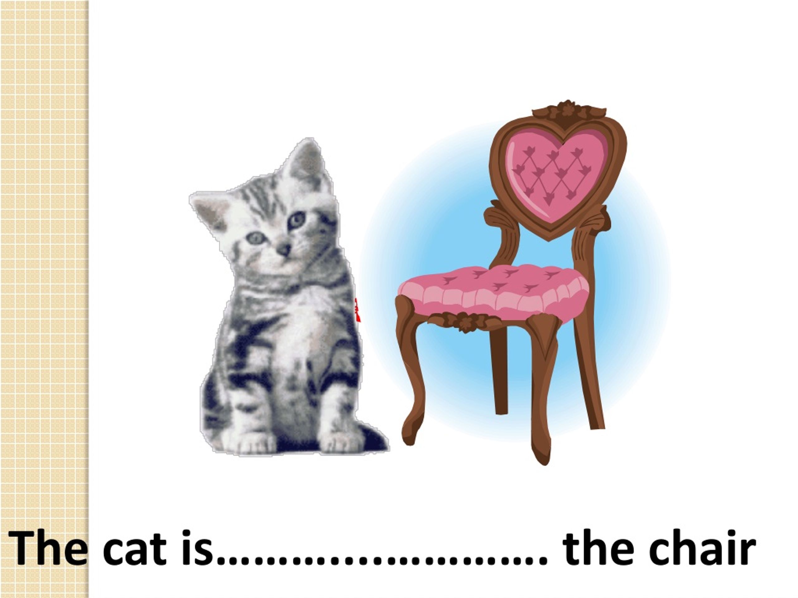 The cat is the chair