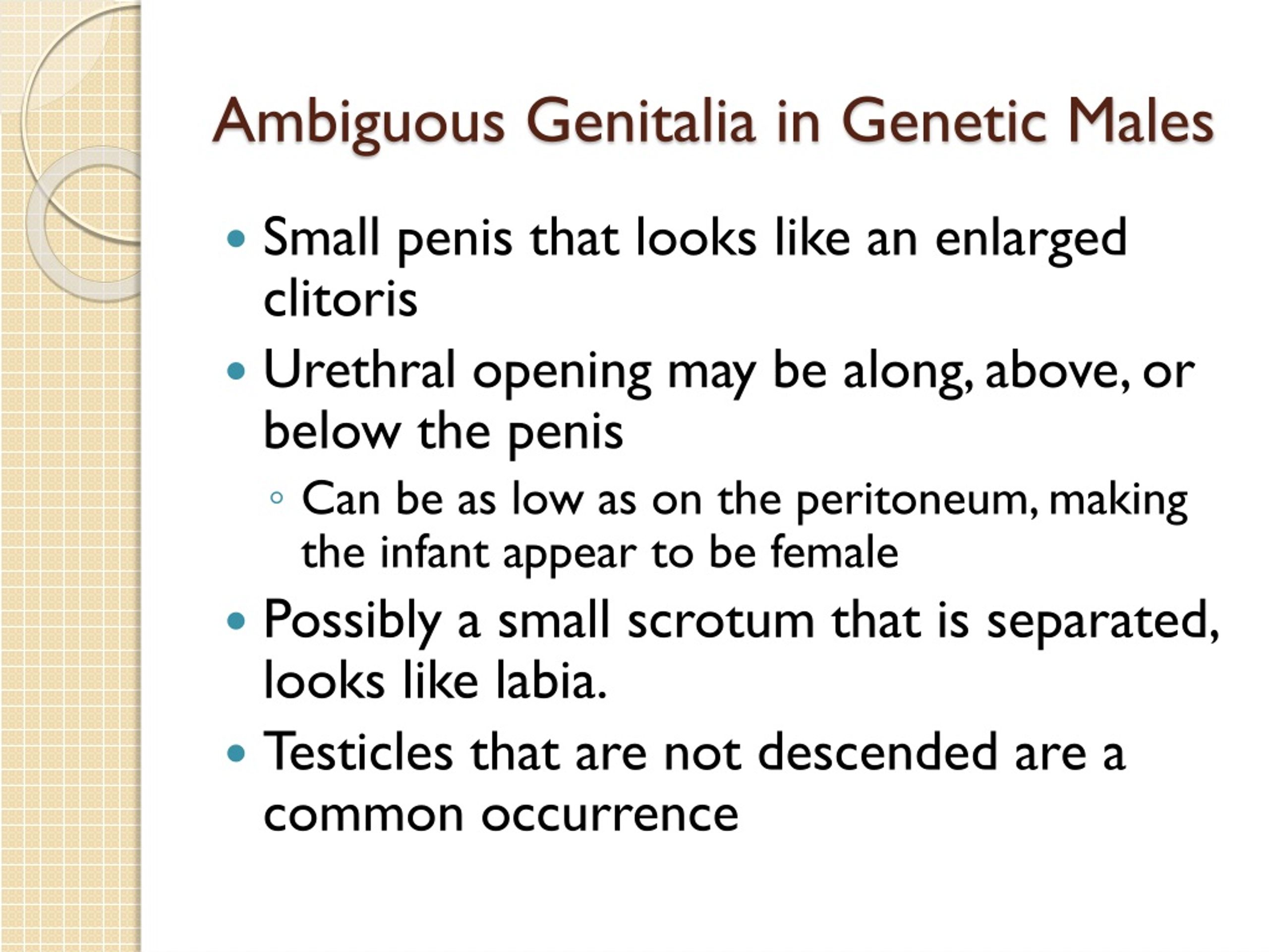 Ppt Ambiguous Genitalia Powerpoint Presentation Free Download Id8956753 0501