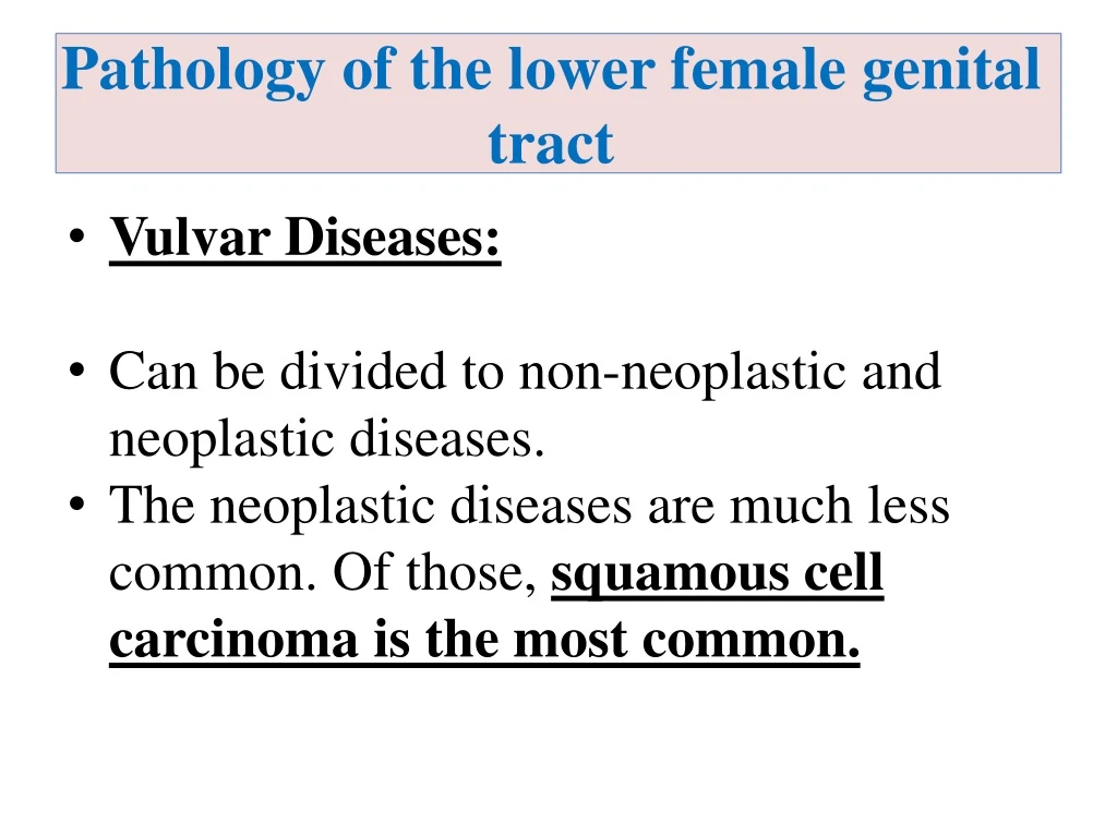 Ppt Pathology Of The Lower Female Genital Tract Powerpoint Presentation Id8959875 2162