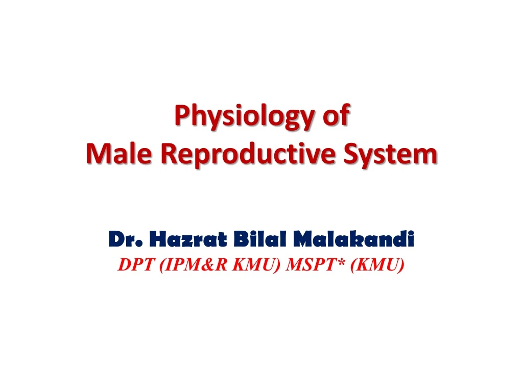 Ppt Physiology Of Male Reproductive System Powerpoint Presentation