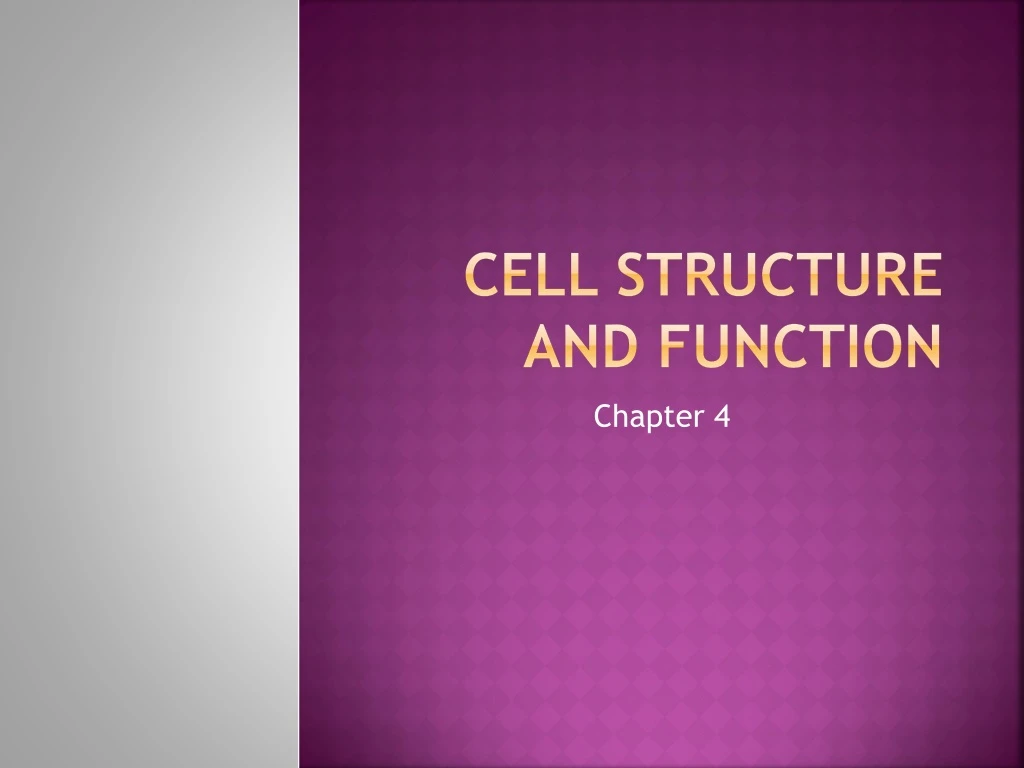 PPT - Cell Structure and function PowerPoint Presentation, free ...