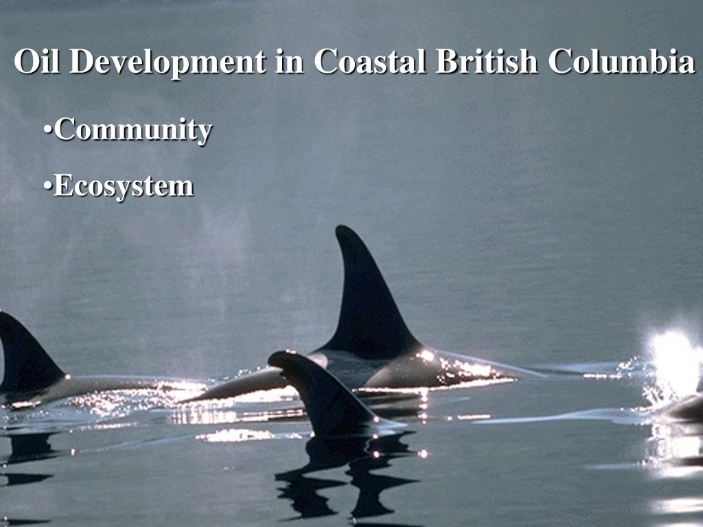 oil development in coastal british columbia n.