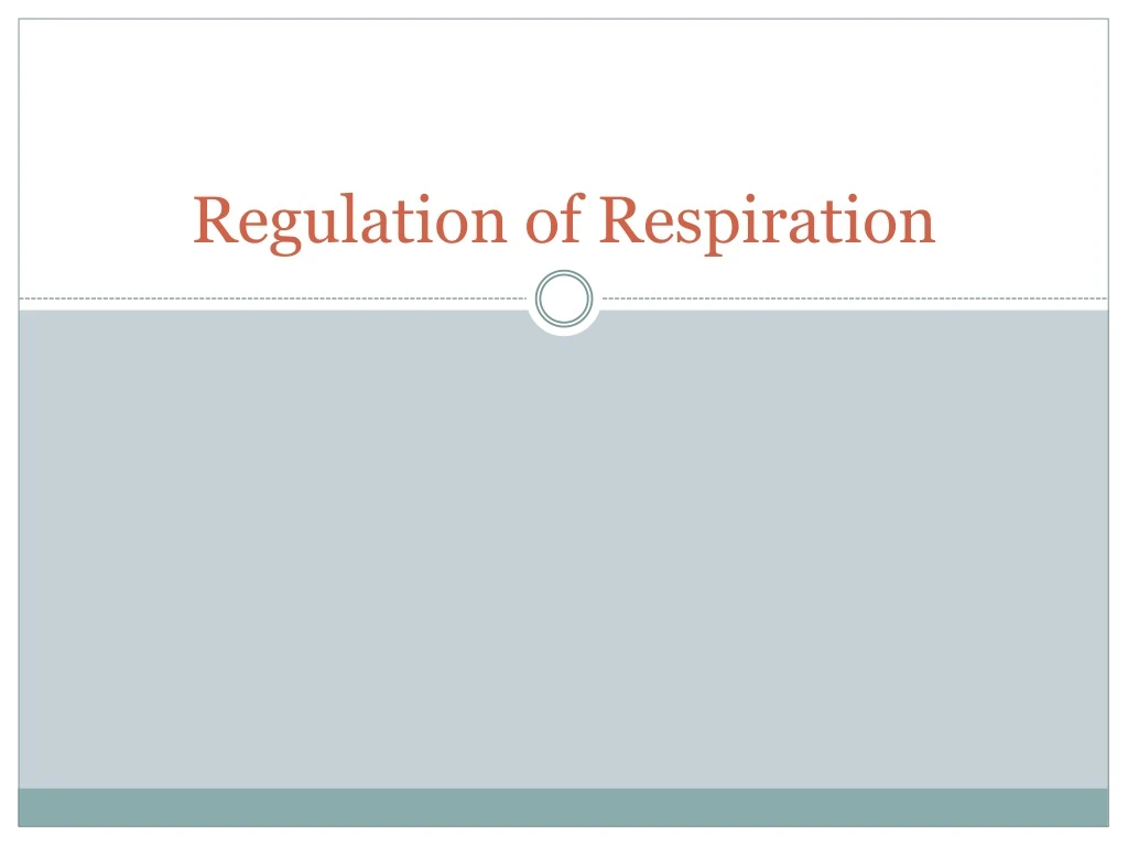 PPT - Regulation of Respiration PowerPoint Presentation, free download ...