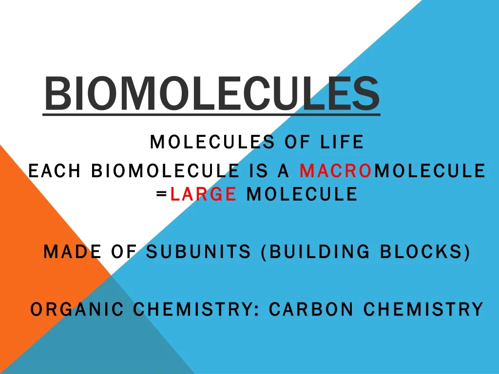 PPT - Biomolecules PowerPoint Presentation, Free Download - ID:8980722