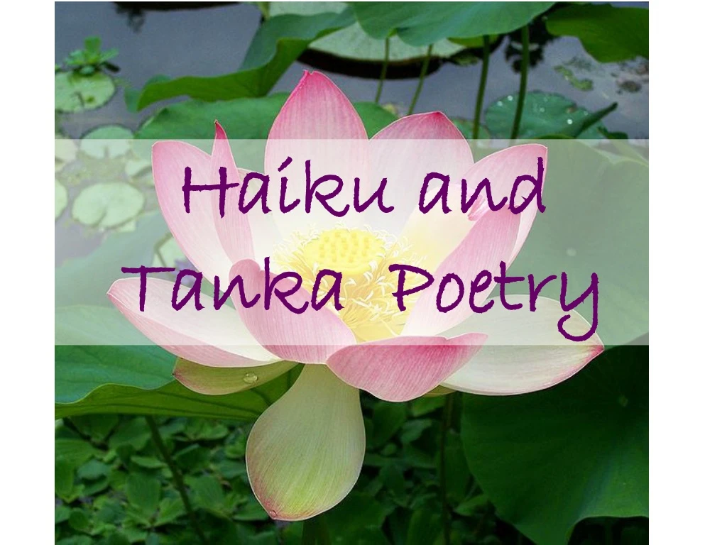 PPT - Haiku And Tanka Poetry PowerPoint Presentation, Free Download ...