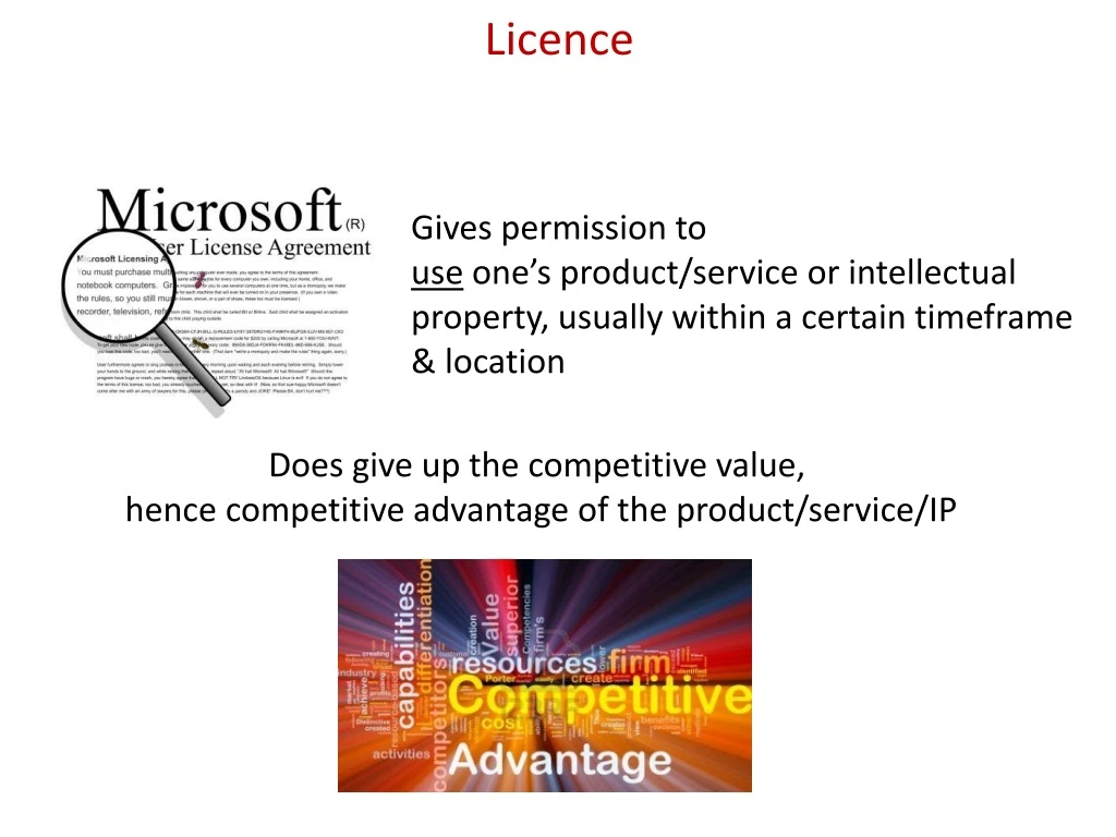 licence n.