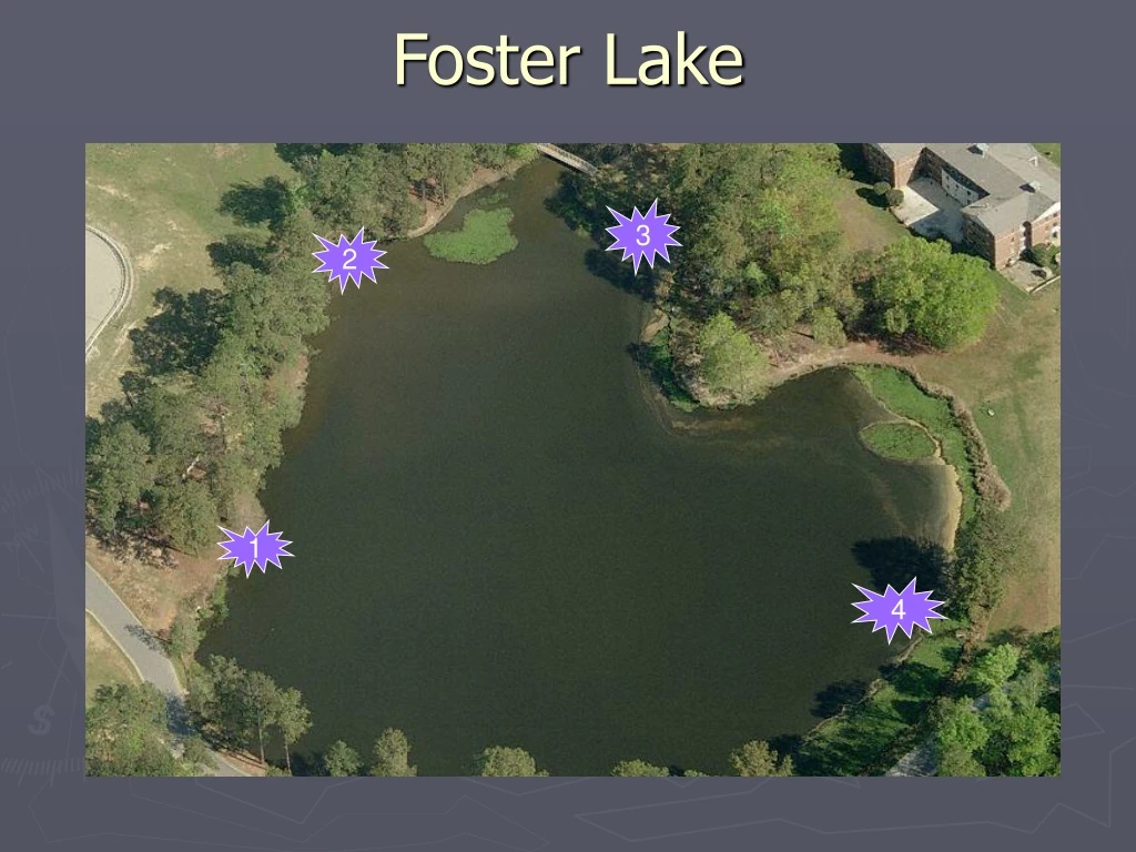 PPT Foster Lake PowerPoint Presentation, free download ID8990949