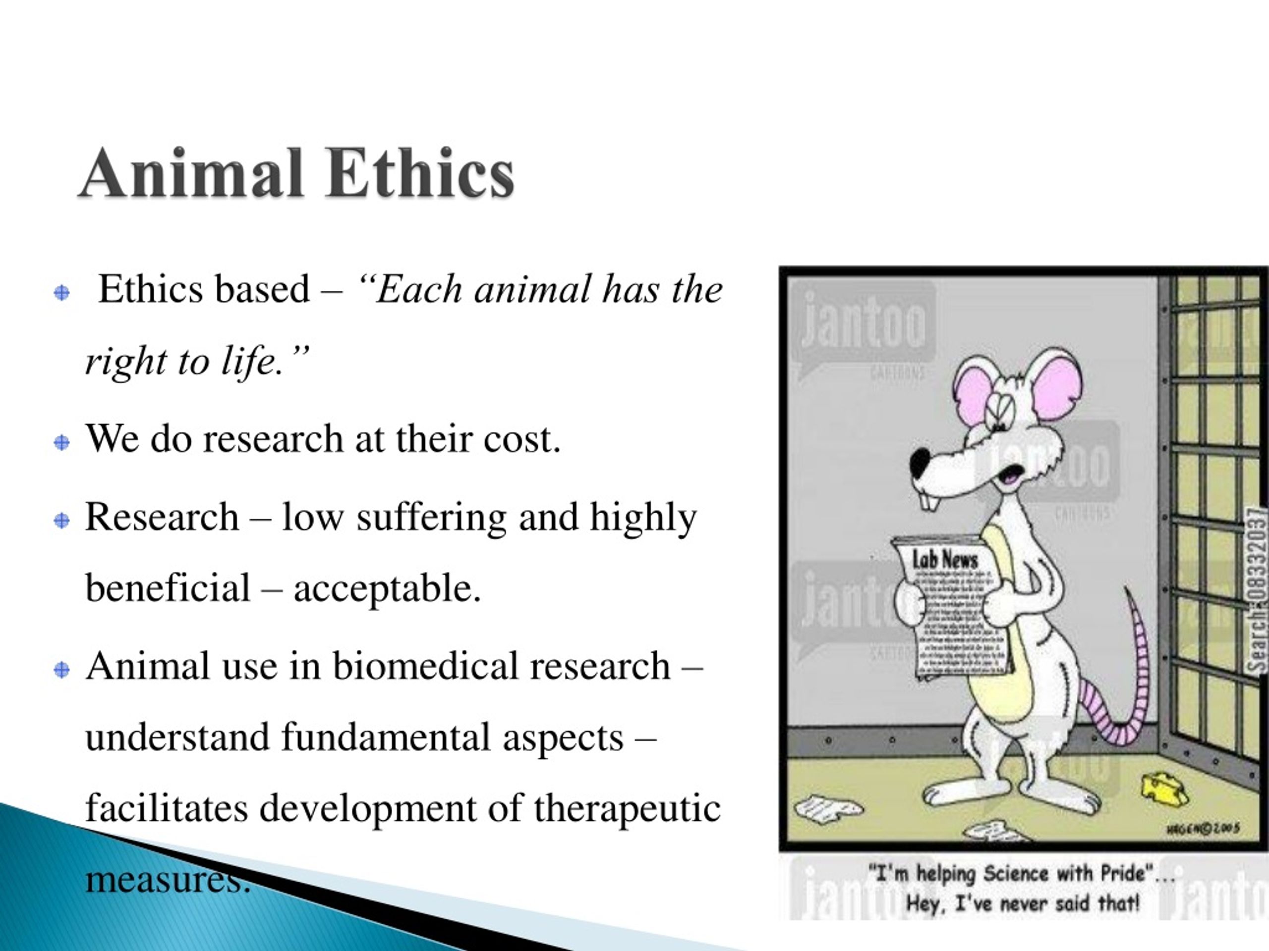 animal ethics experimental philosophy