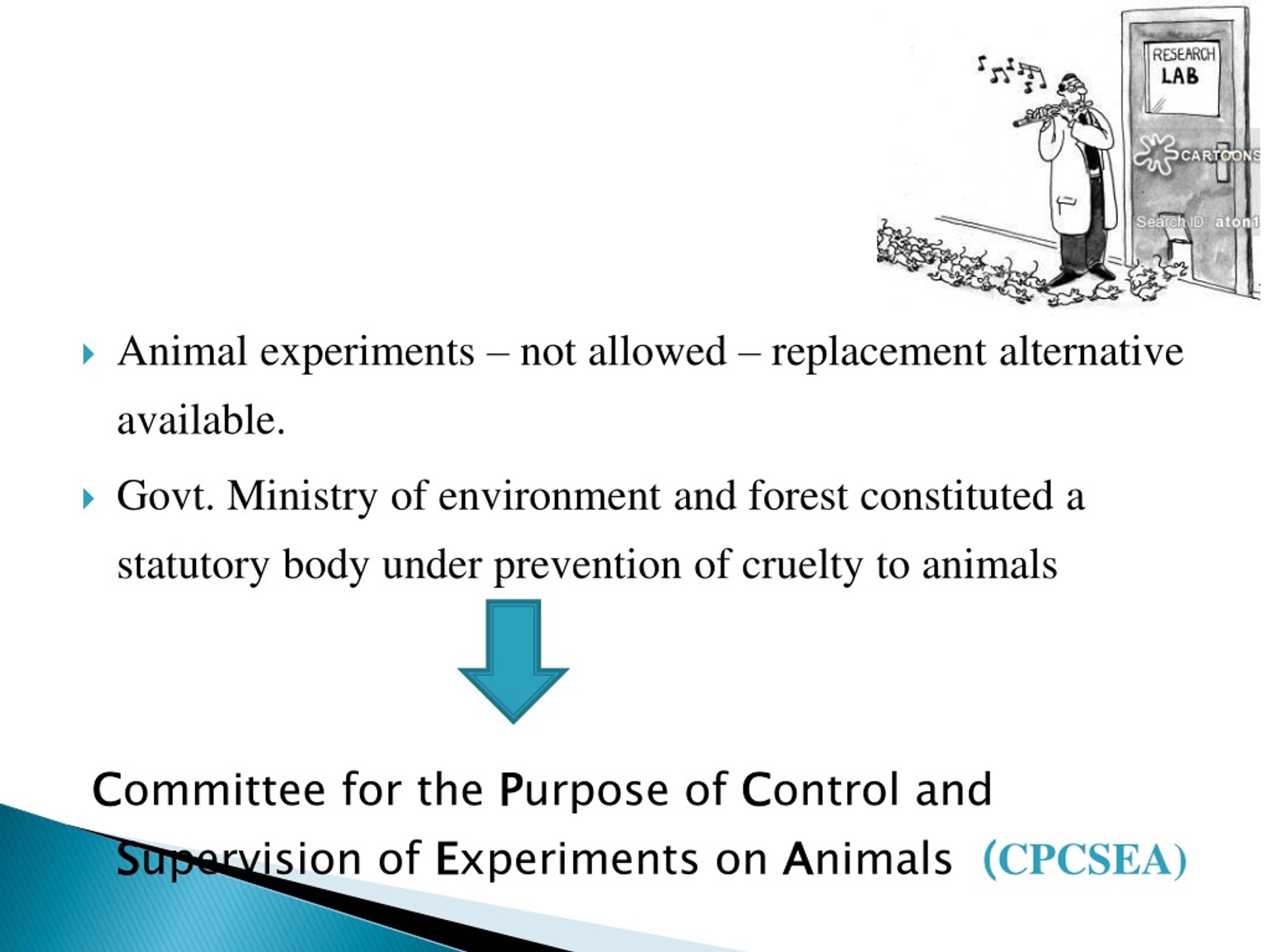 PPT - Animal Ethics PowerPoint Presentation, Free Download - ID:8995893