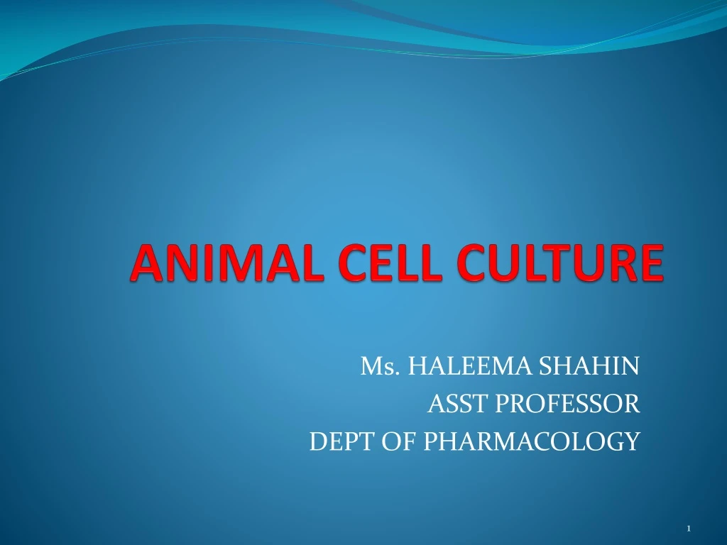 PPT - ANIMAL CELL CULTURE PowerPoint Presentation, Free Download - ID ...