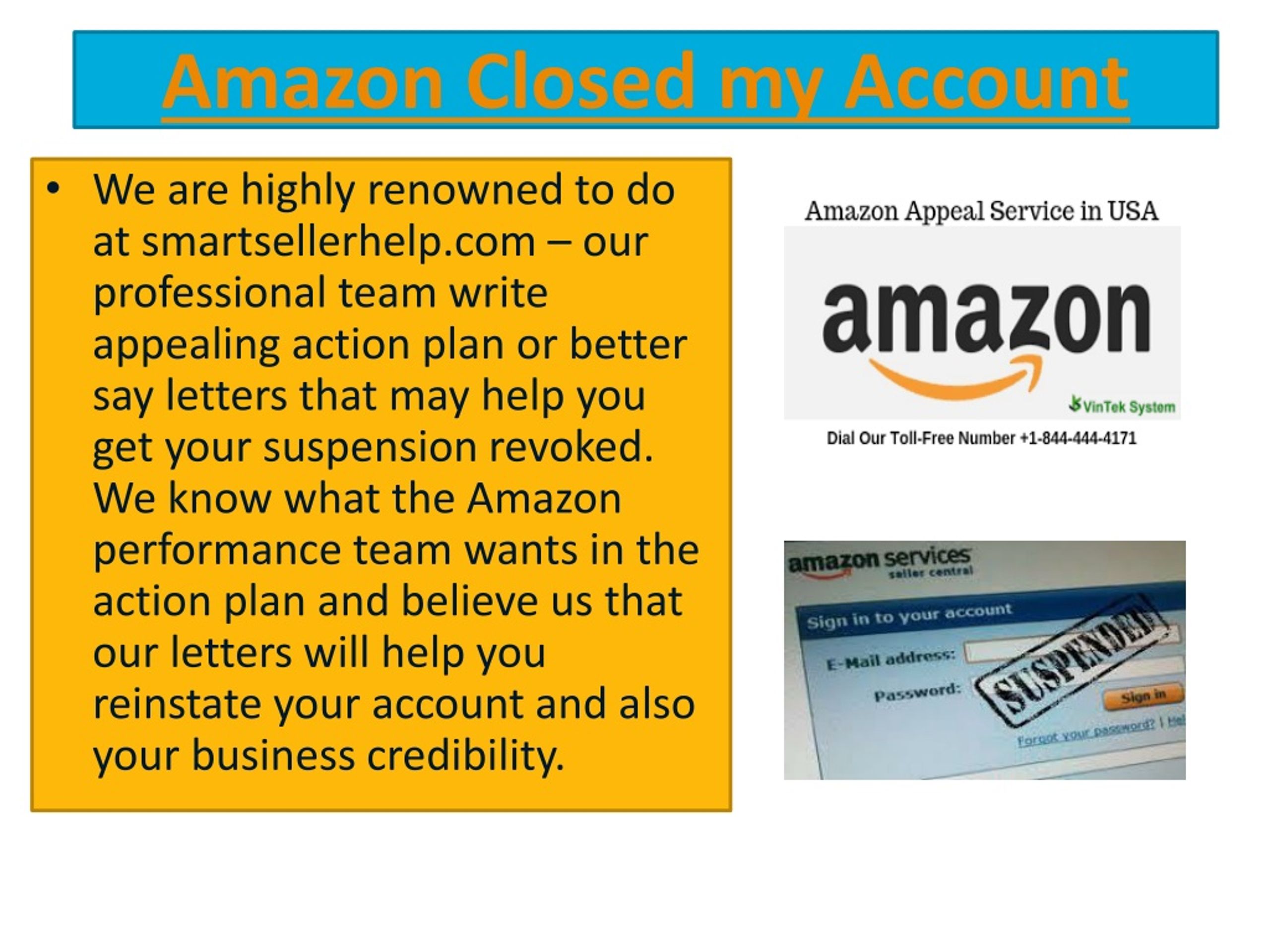 PPT Best Services For Suspended on Amazon in Europe PowerPoint