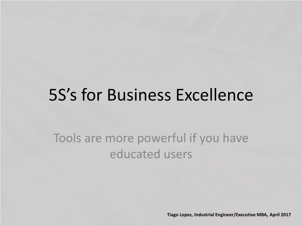 5s s for business excellence n.