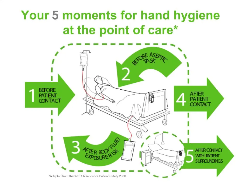 5 moments of hand hygiene examples