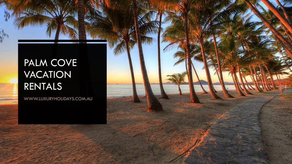 palm cove vacation rentals n.