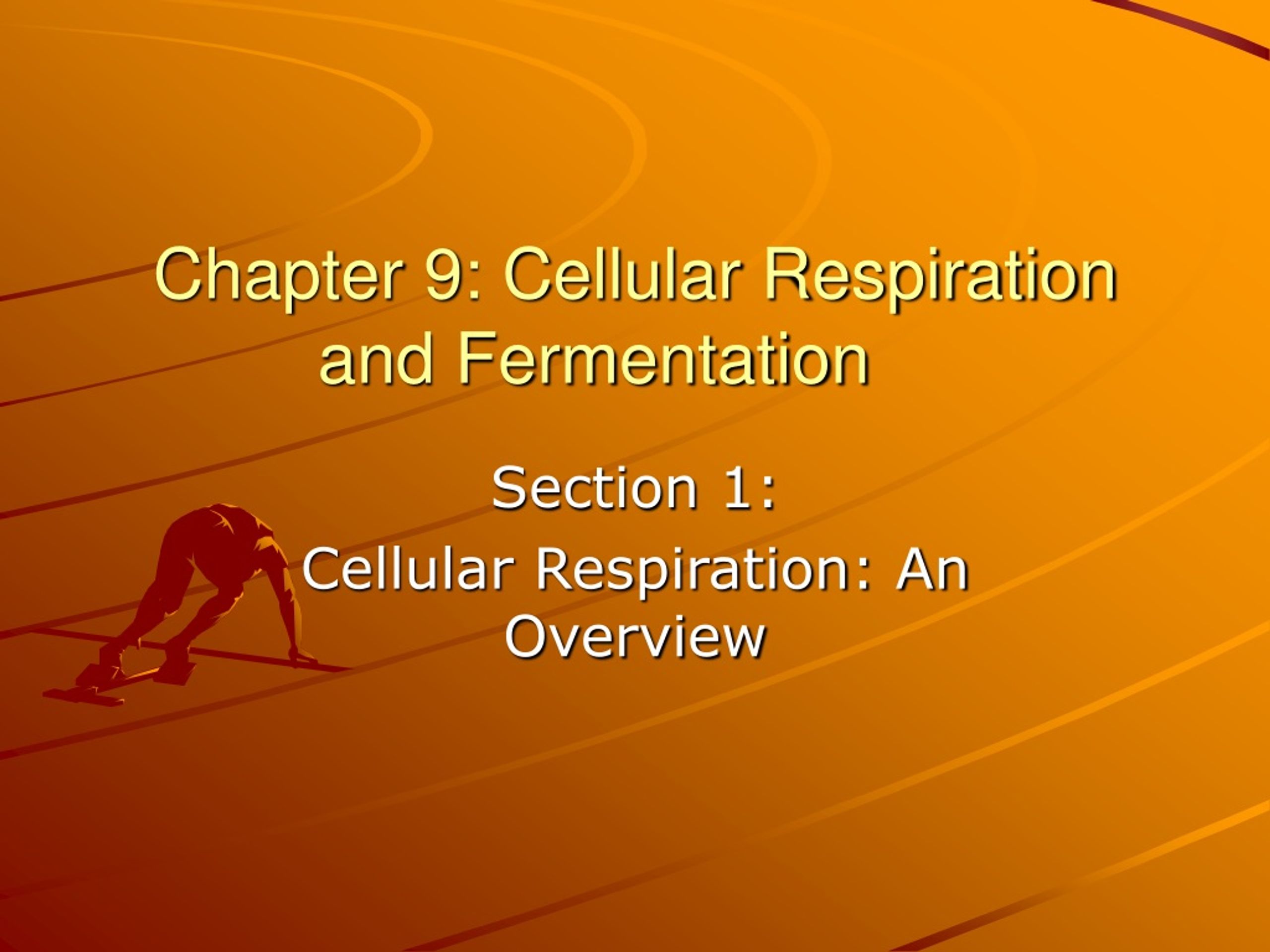 Ppt Chapter 9 Cellular Respiration And Fermentation Powerpoint Presentation Id 9070139