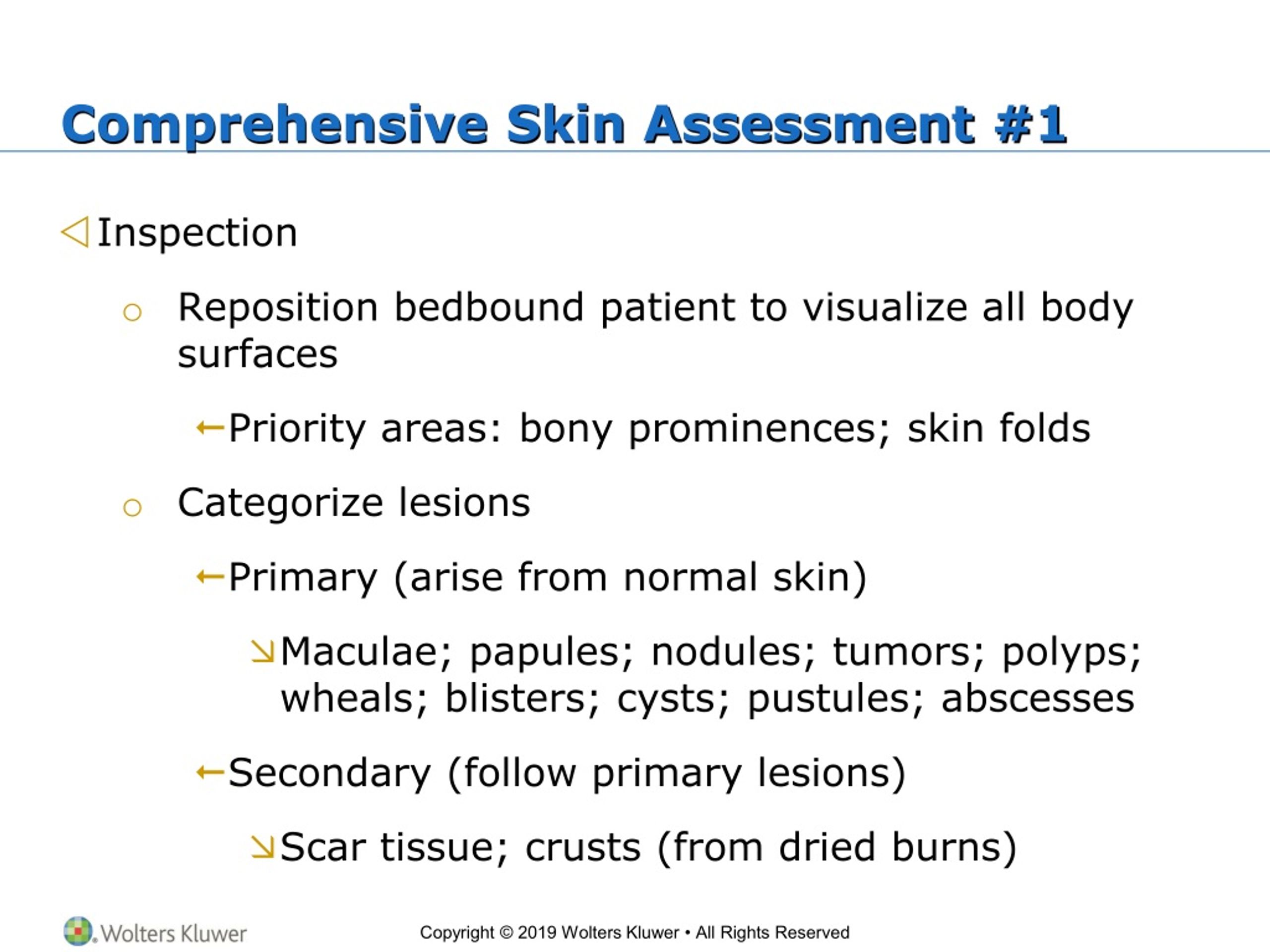 Ppt Chapter 11— Skin Hair And Nails Assessment Powerpoint