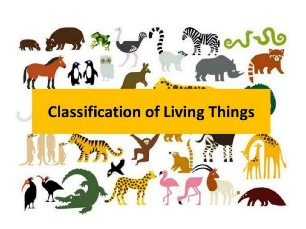 PPT What Is TAXONOMY PowerPoint Presentation Free Download ID 9070441