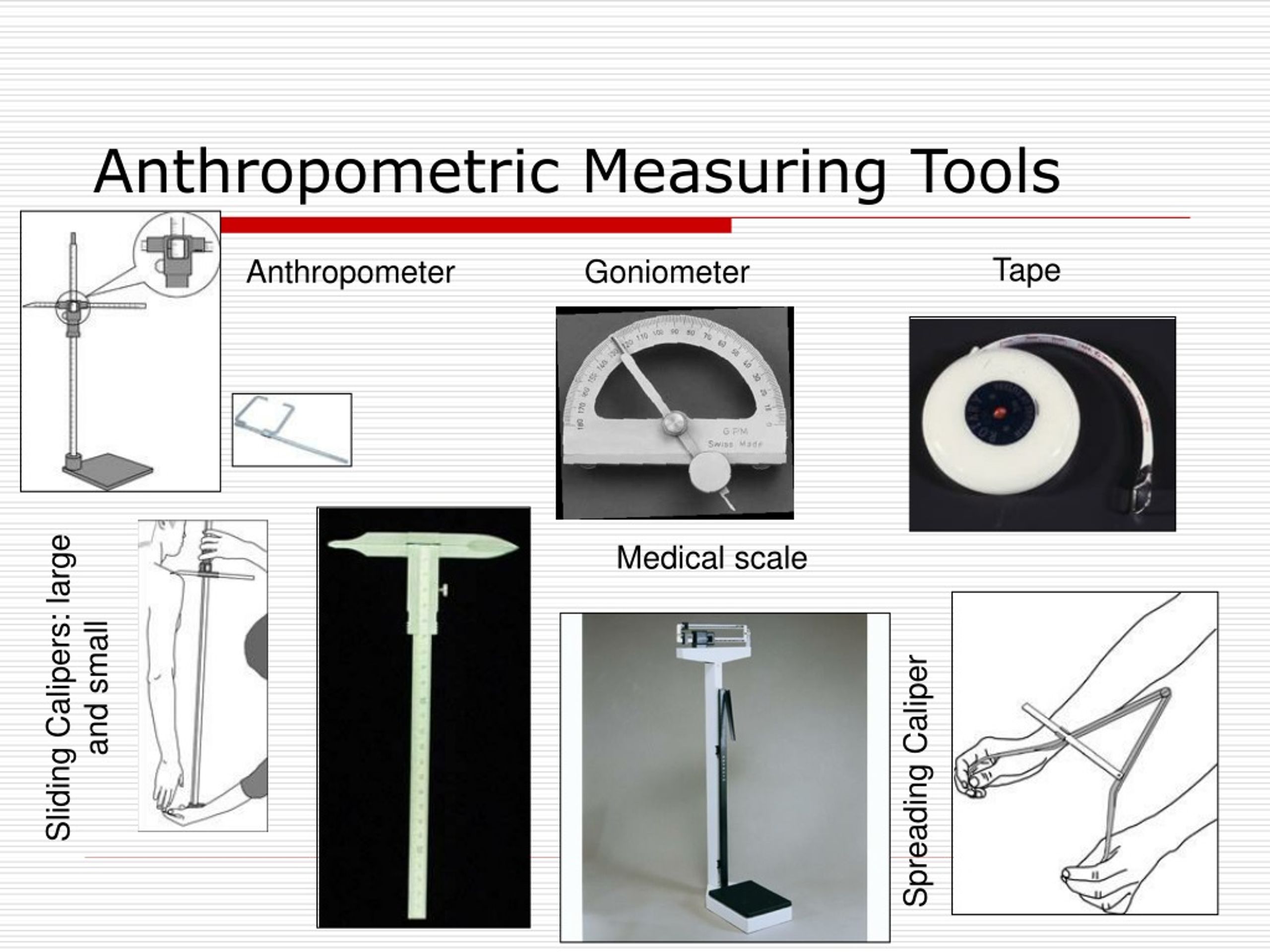 PPT - Anthropometry An Introduction PowerPoint Presentation, Free ...