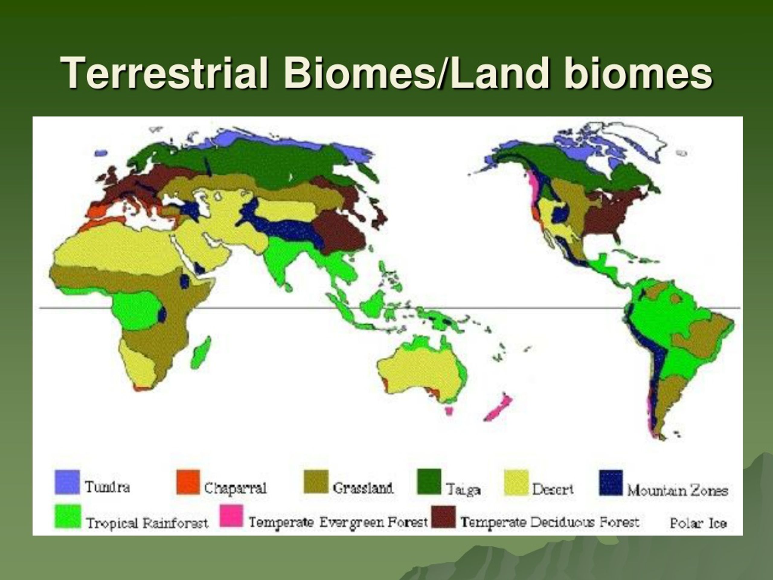 PPT - Biomes PowerPoint Presentation, Free Download - ID:9070818