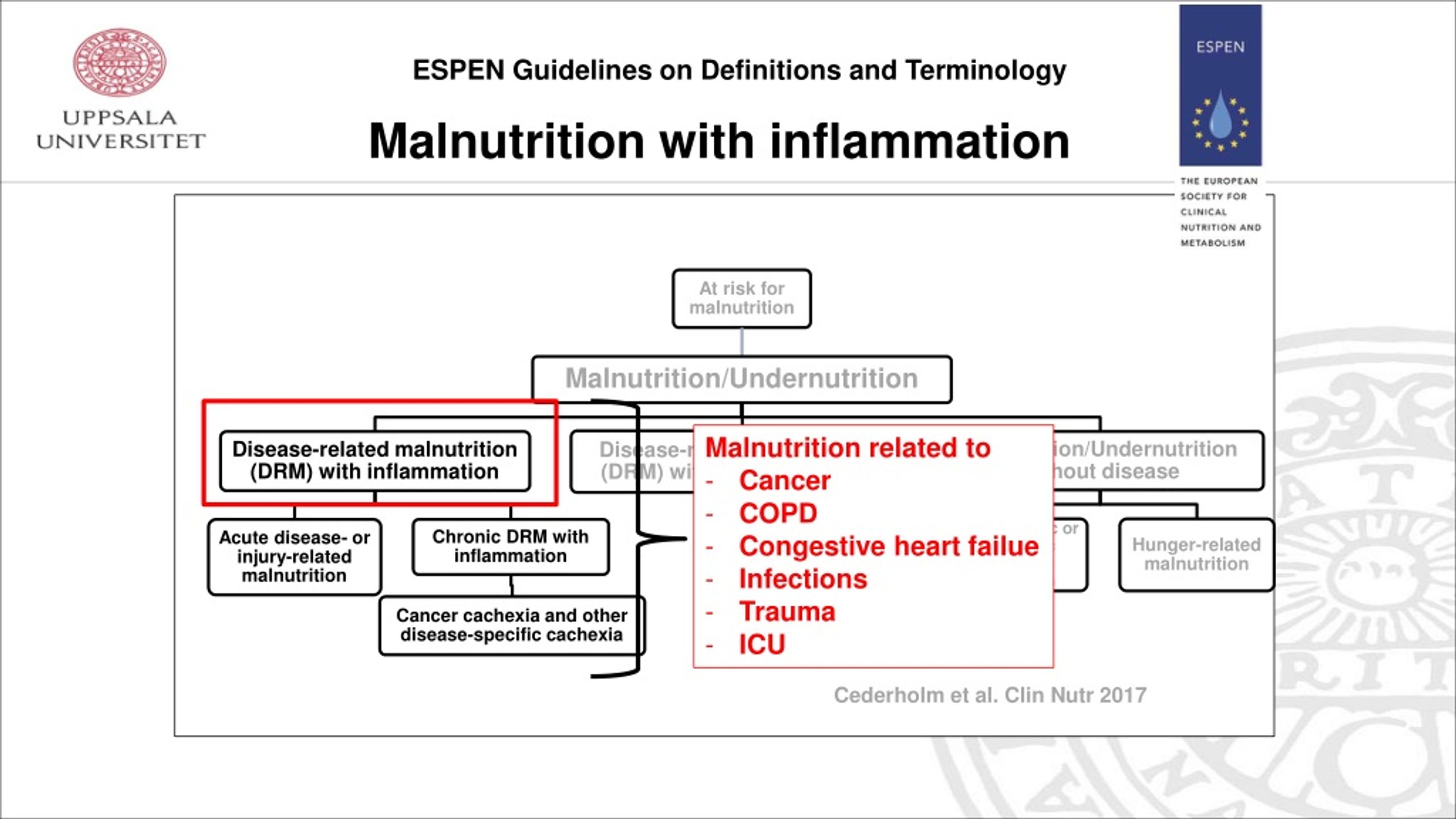 PPT Nutrition in geriatrics a look at the ESPEN guidelines