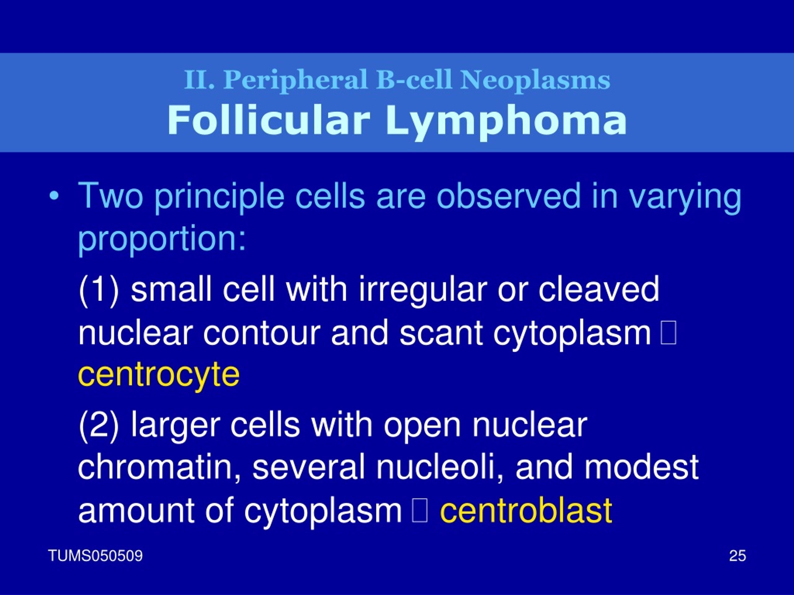 Ppt Lymphoid Neoplasm Powerpoint Presentation Free Download Id9074365 