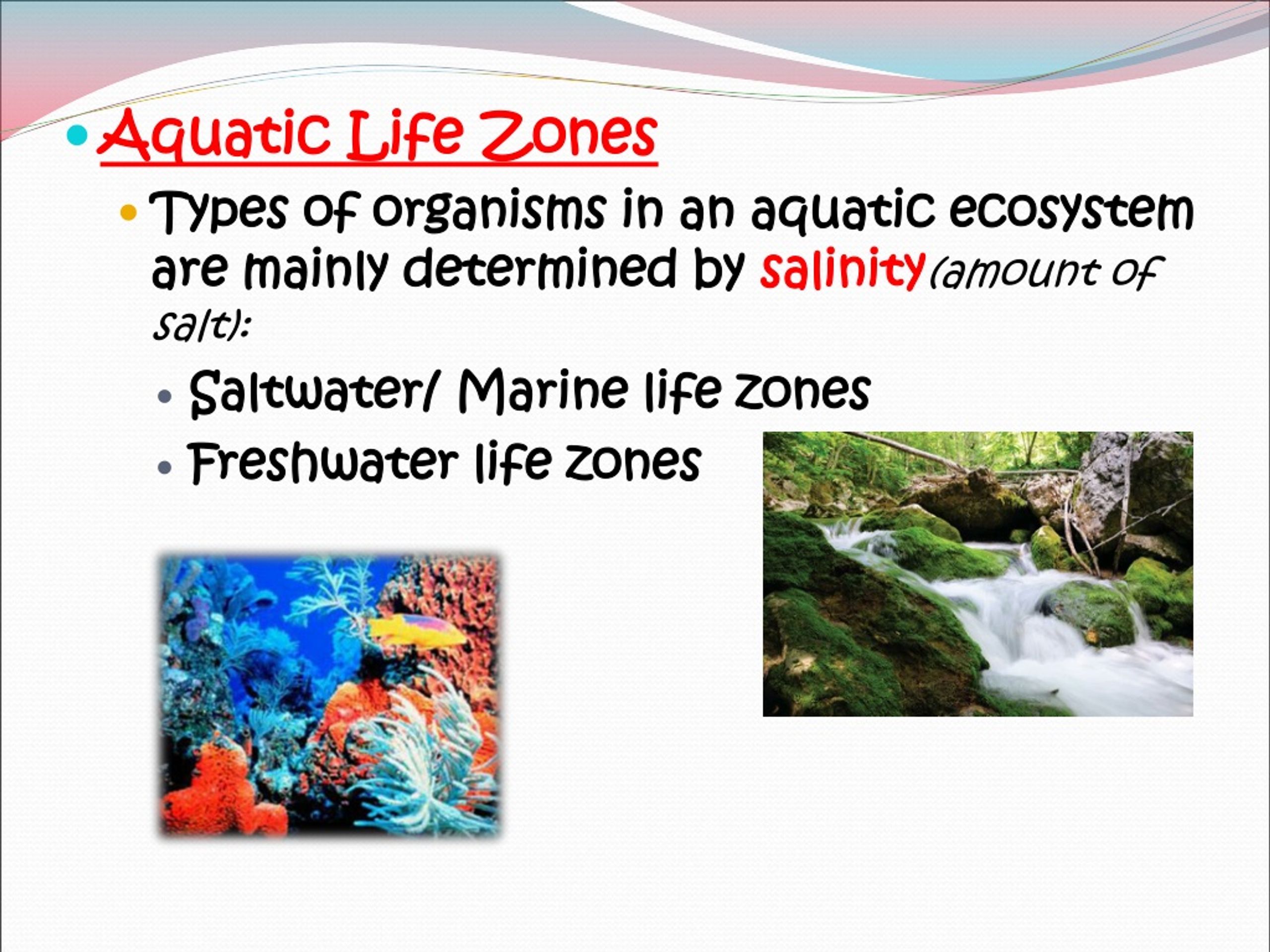 PPT - Aquatic Life Zones PowerPoint Presentation, free download - ID ...