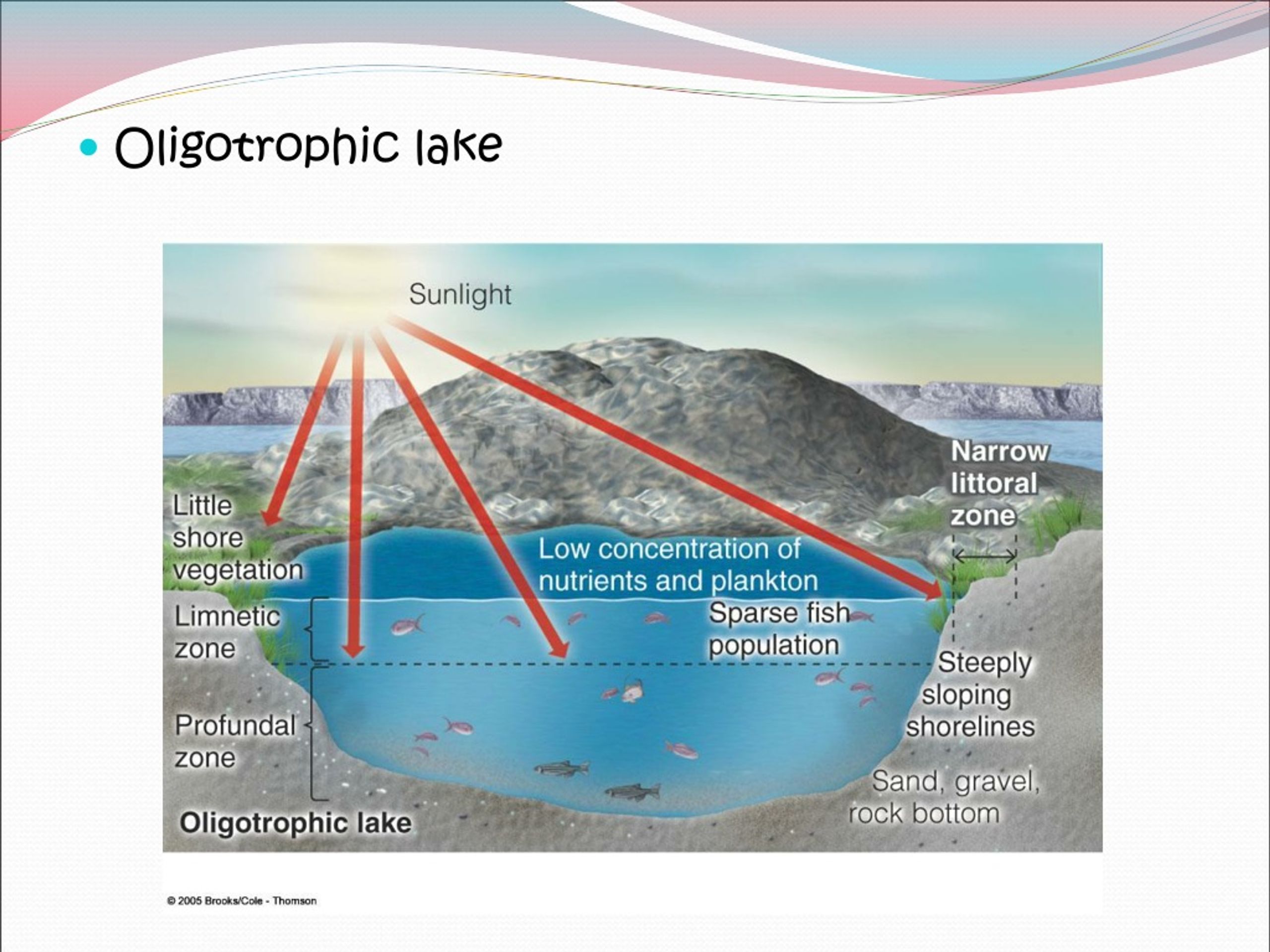 PPT - Aquatic Life Zones PowerPoint Presentation, free download - ID ...