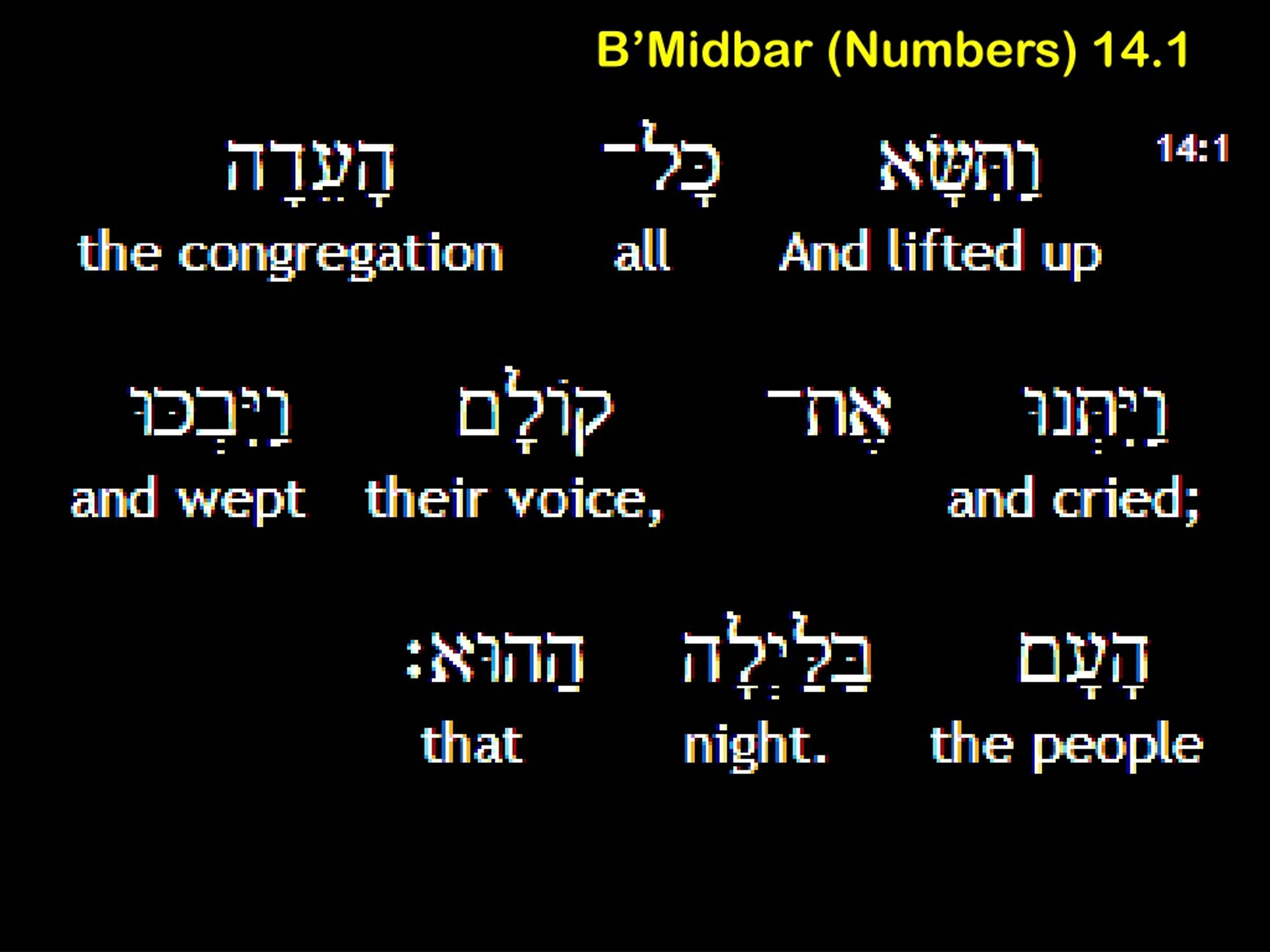 PPT - B’Midbar בְּמִדְבַּר (Numbers) 13 .33-14.4 PowerPoint ...