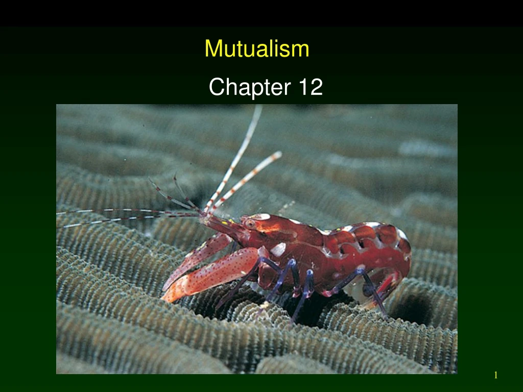 mutualism n.
