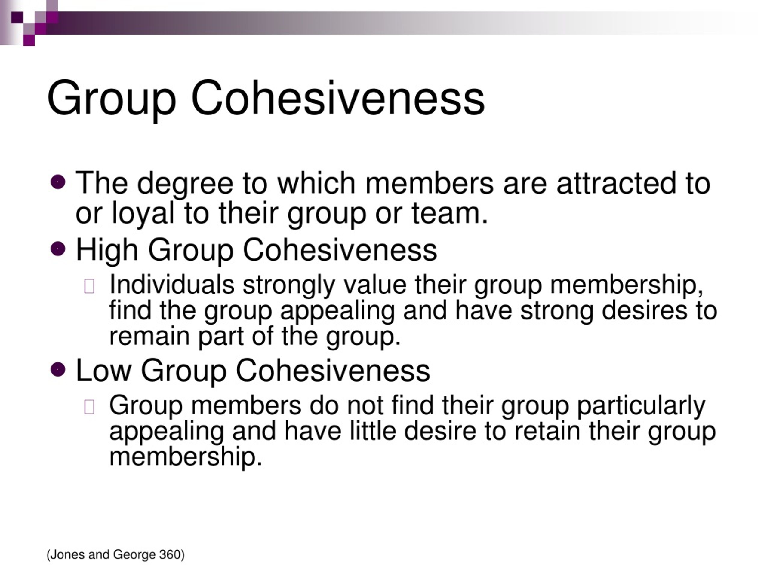 literature review on group cohesiveness