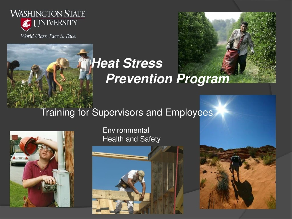 PPT - Heat Stress Prevention Program PowerPoint Presentation, free ...