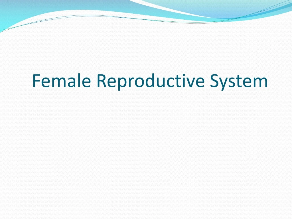 PPT - Female Reproductive System PowerPoint Presentation, Free Download ...