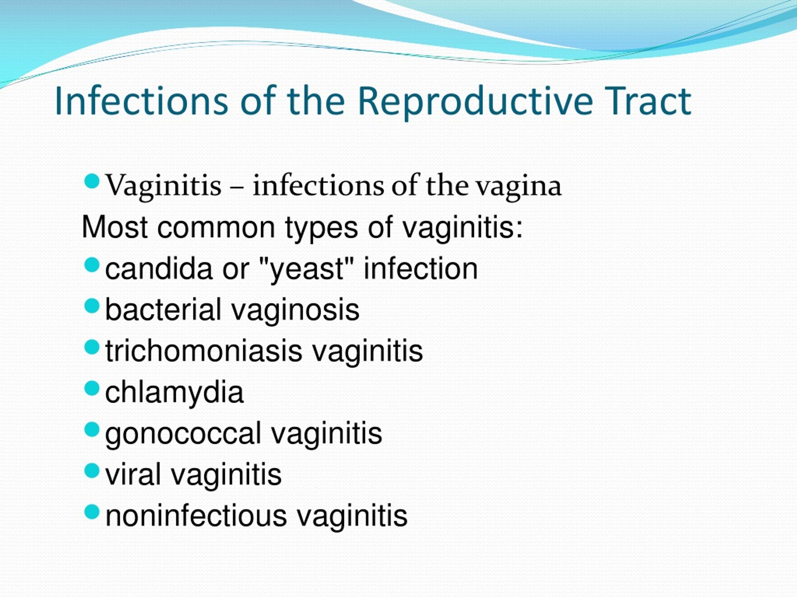 Ppt Female Reproductive System Powerpoint Presentation Free Download Id9085179 4438