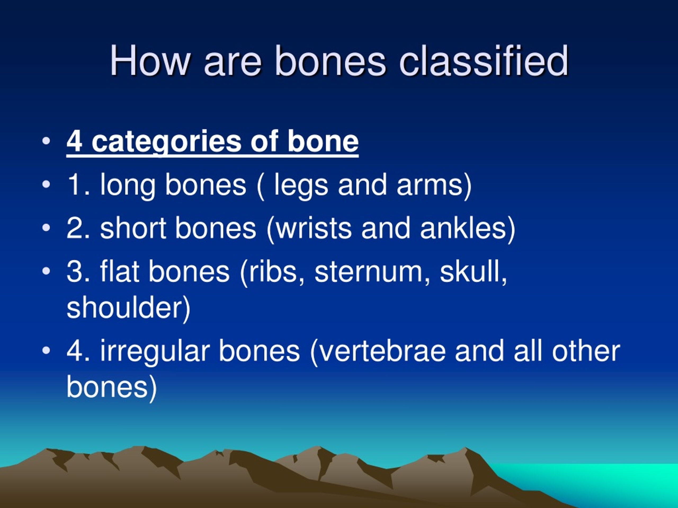 PPT - Chapter 14 Bones, muscle, and skin PowerPoint Presentation, free