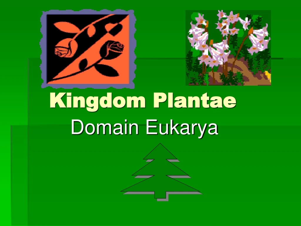 PPT - Kingdom Plantae PowerPoint Presentation, Free Download - ID:9087920