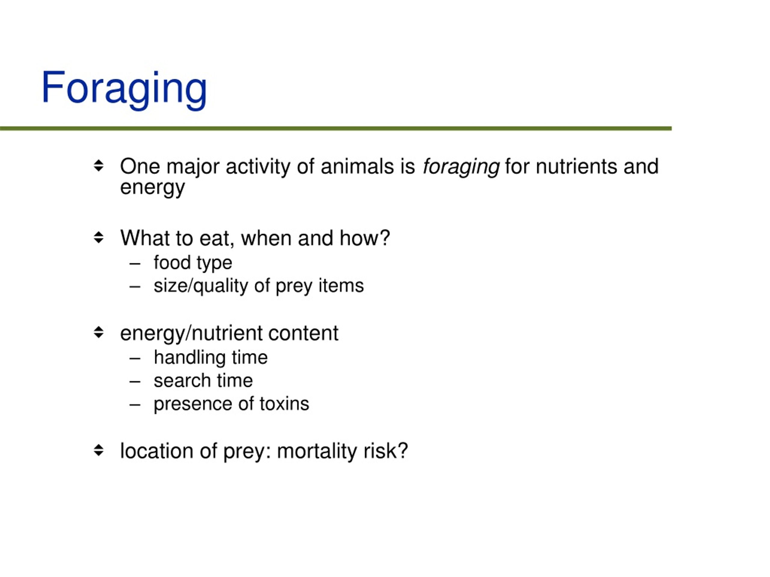 PPT - Foraging Behaviour PowerPoint Presentation, Free Download - ID ...