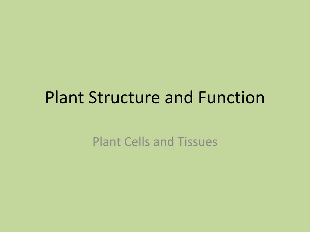 PPT - Plant Structure and Function PowerPoint Presentation, free ...