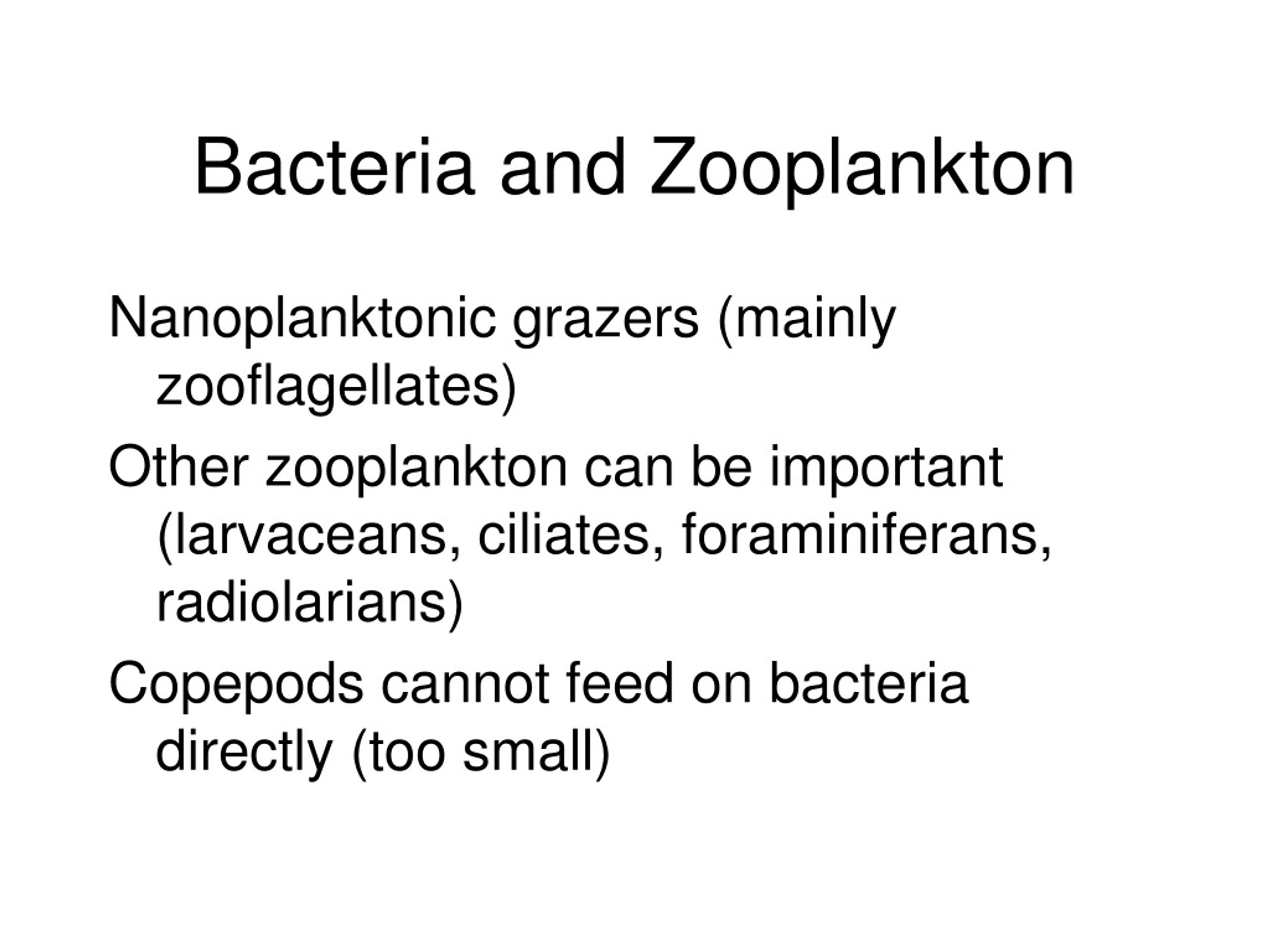 PPT - Microbial Loop PowerPoint Presentation, Free Download - ID:9095193