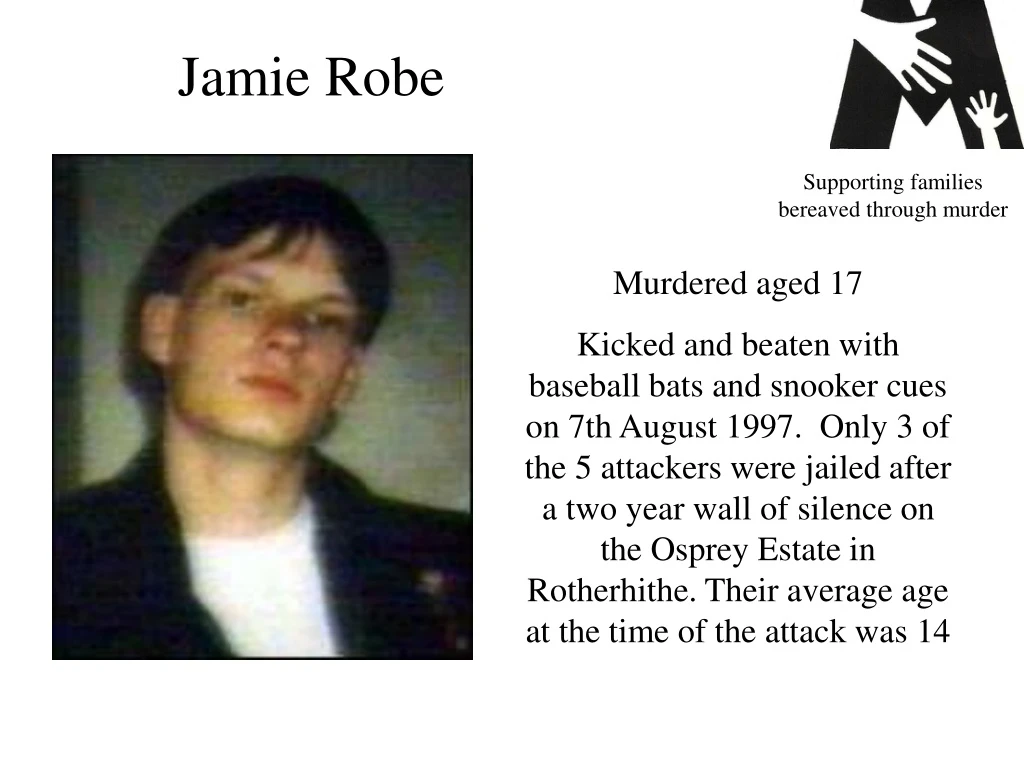 jamie robe n.