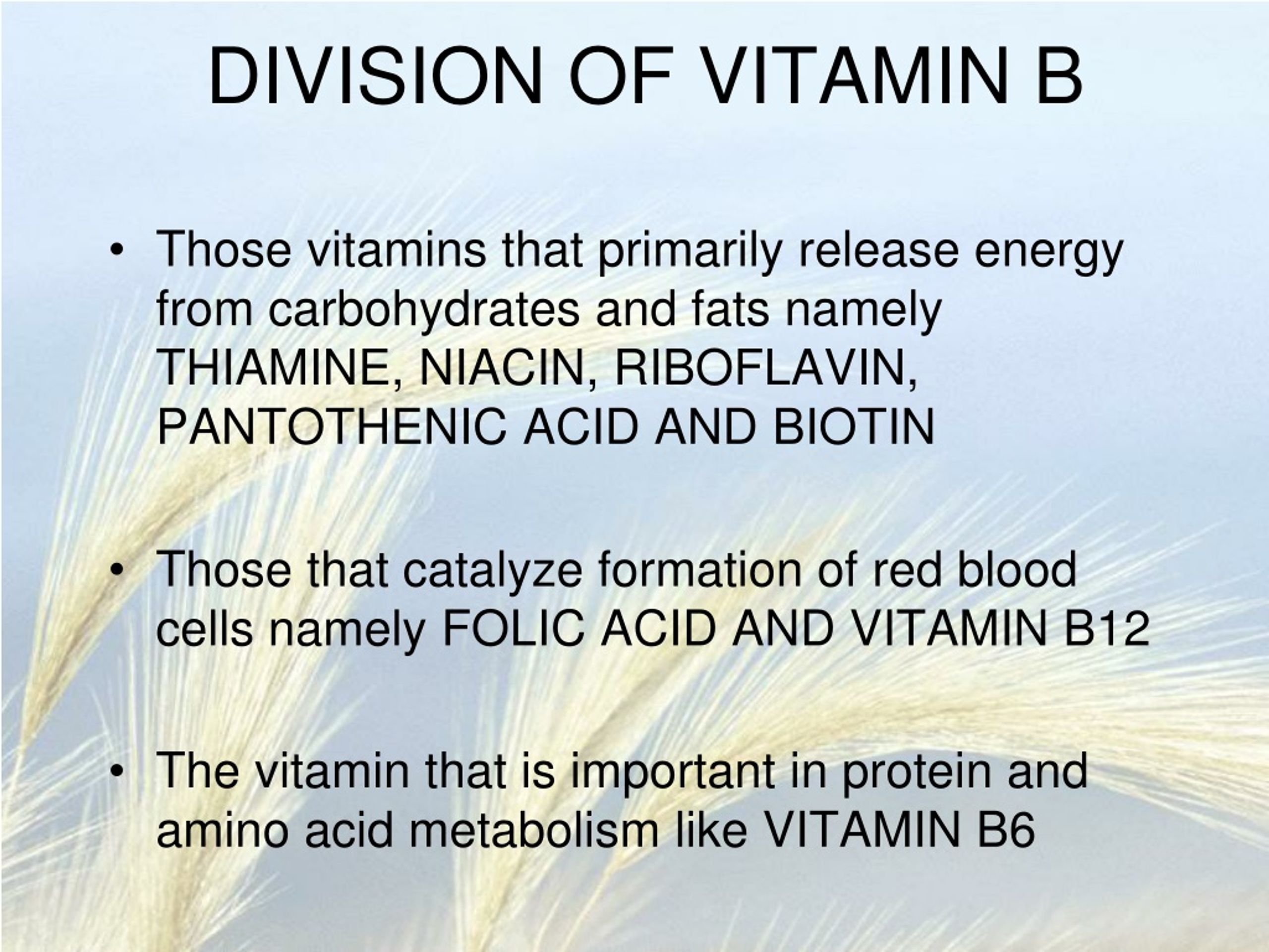 PPT - THE VITAMIN B COMPLEX PowerPoint Presentation, Free Download - ID ...