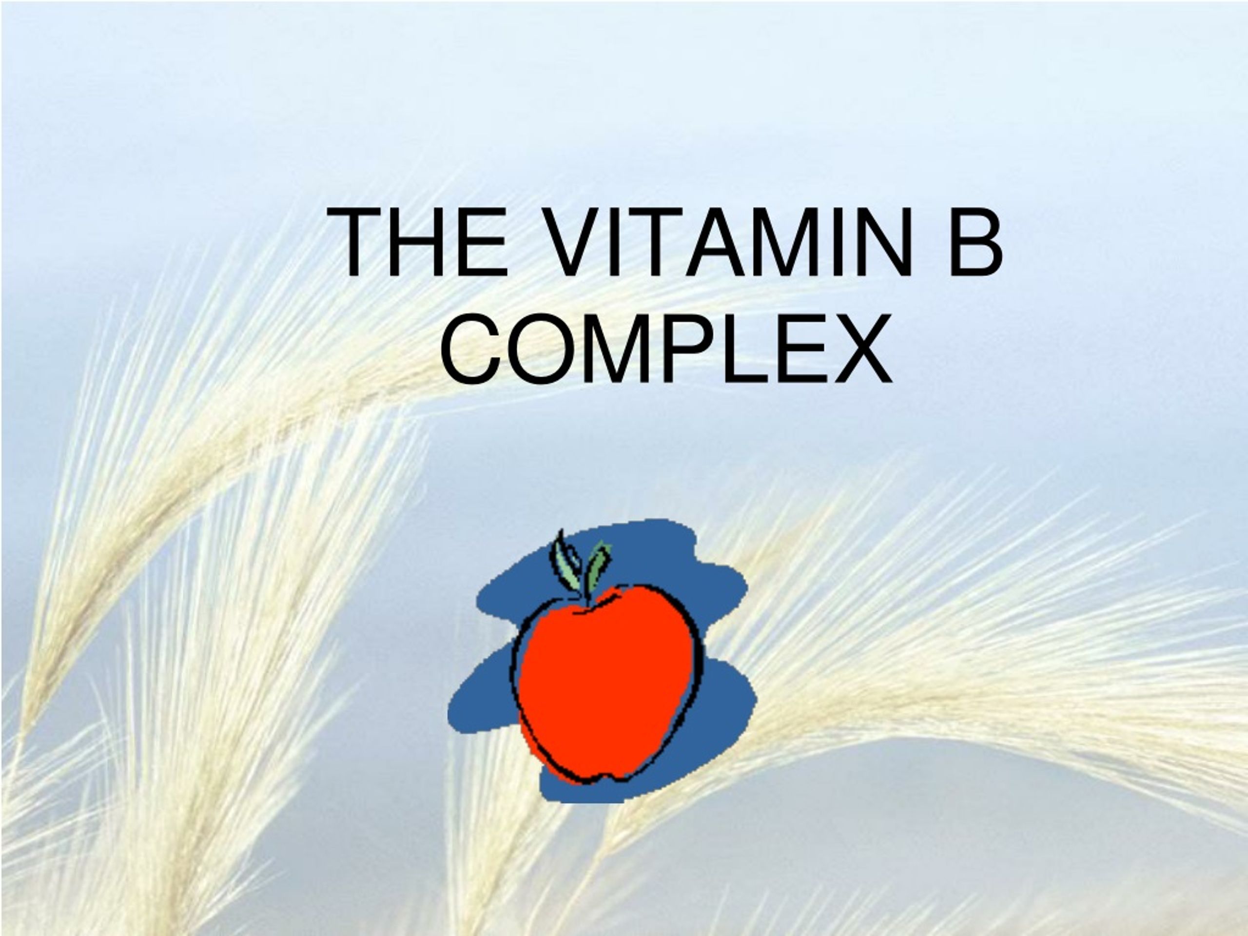 PPT - THE VITAMIN B COMPLEX PowerPoint Presentation, Free Download - ID ...