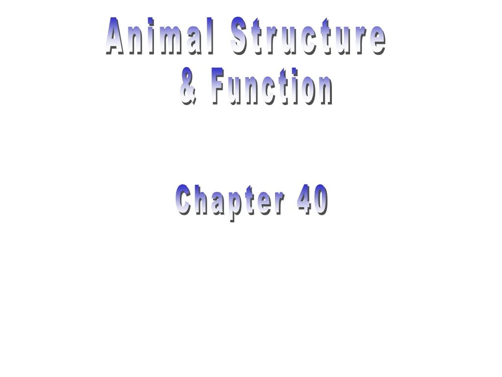 PPT - Animal Structure PowerPoint Presentation, Free Download - ID:9099098