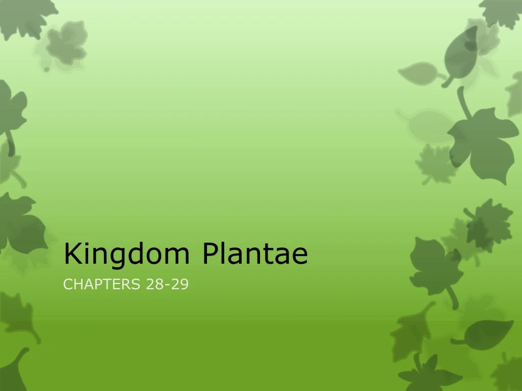 PPT - Kingdom Plantae PowerPoint Presentation, Free Download - ID:9102273